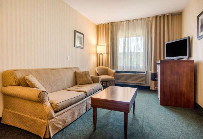 Отель Comfort Inn & Suites Shawinigan