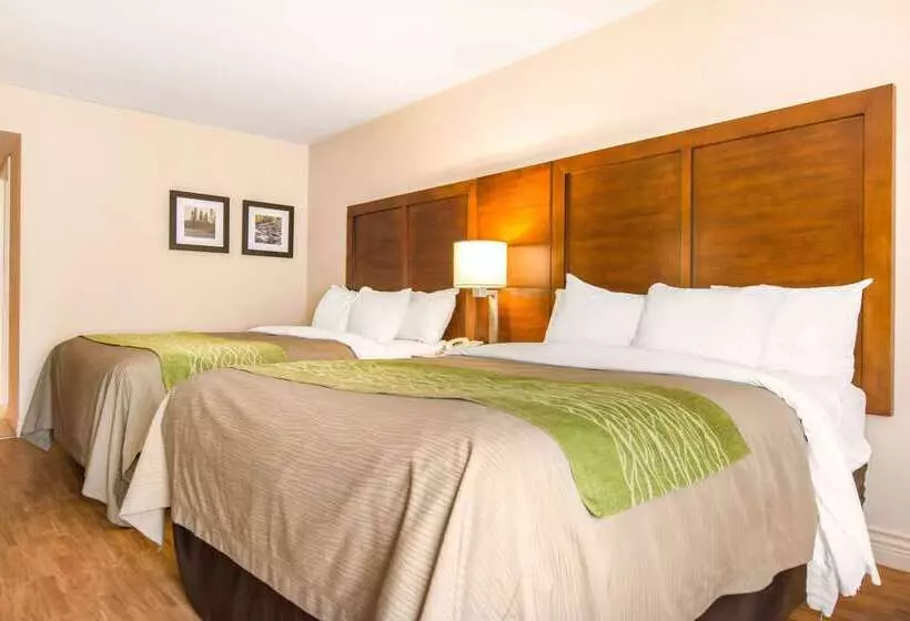 فندق Comfort Inn & Suites Shawinigan
