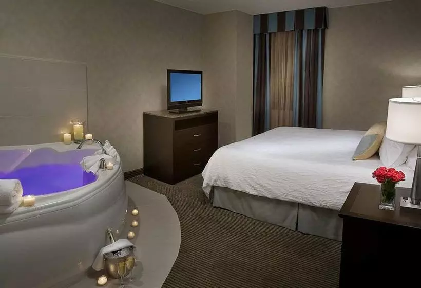 酒店 Hilton Garden Inn Toronto City Centre