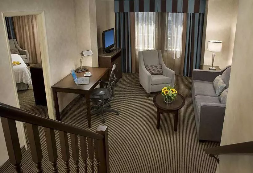 酒店 Hilton Garden Inn Toronto City Centre
