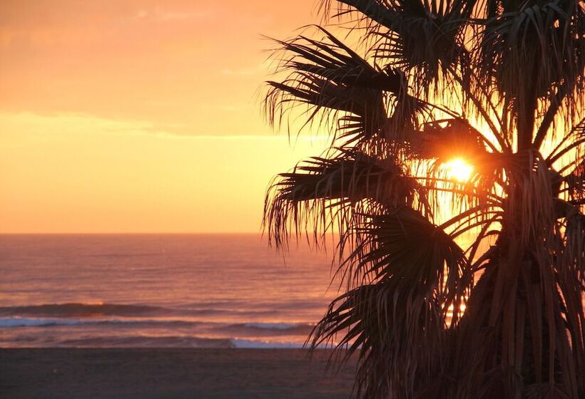 Hotel Saint Georges, Face A La Mer