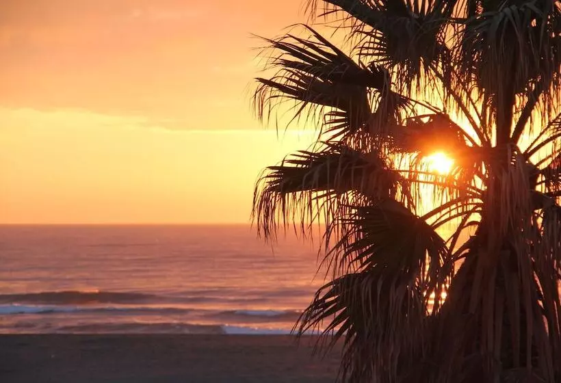 هتل Saint Georges, Face A La Mer