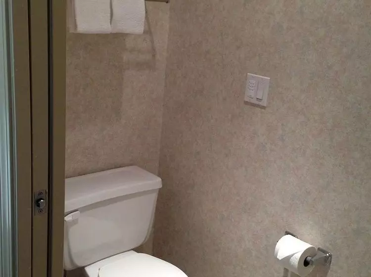 Hotel Canadas Best Value Inn Langley/vancouver