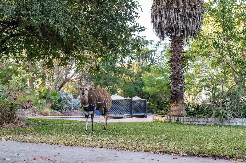 Protea Hotel Safari Lodge