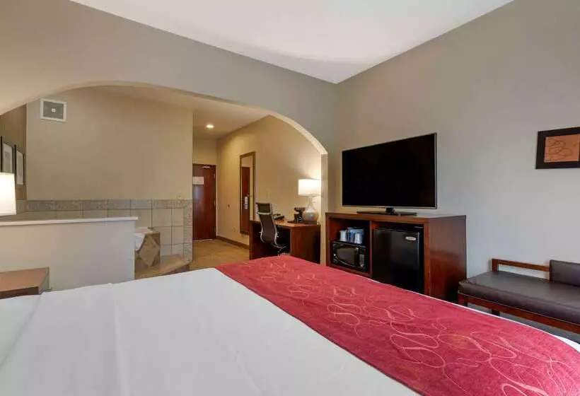 فندق Comfort Suites Downtown Sacramento