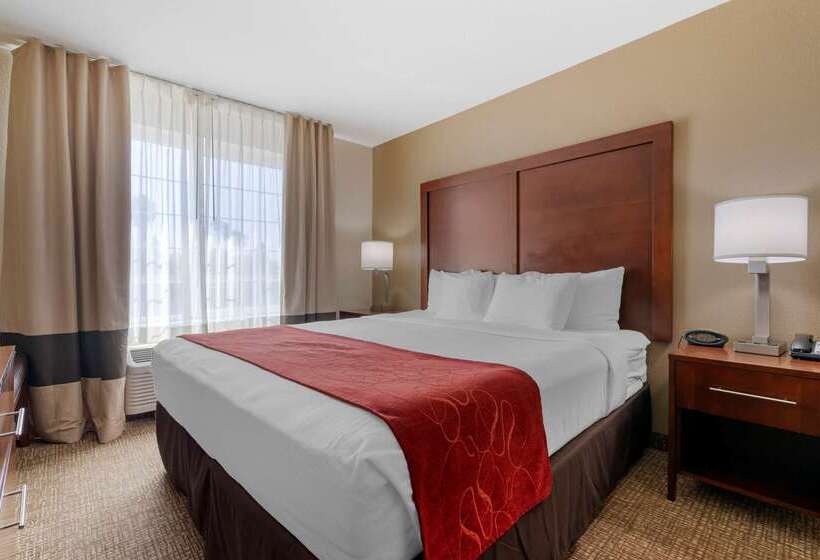هتل Comfort Suites Downtown Sacramento