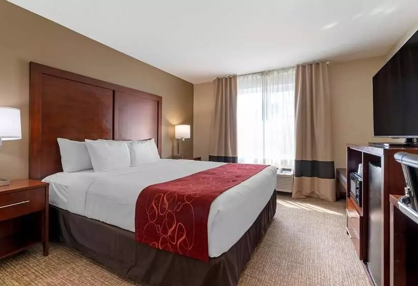 فندق Comfort Suites Downtown Sacramento
