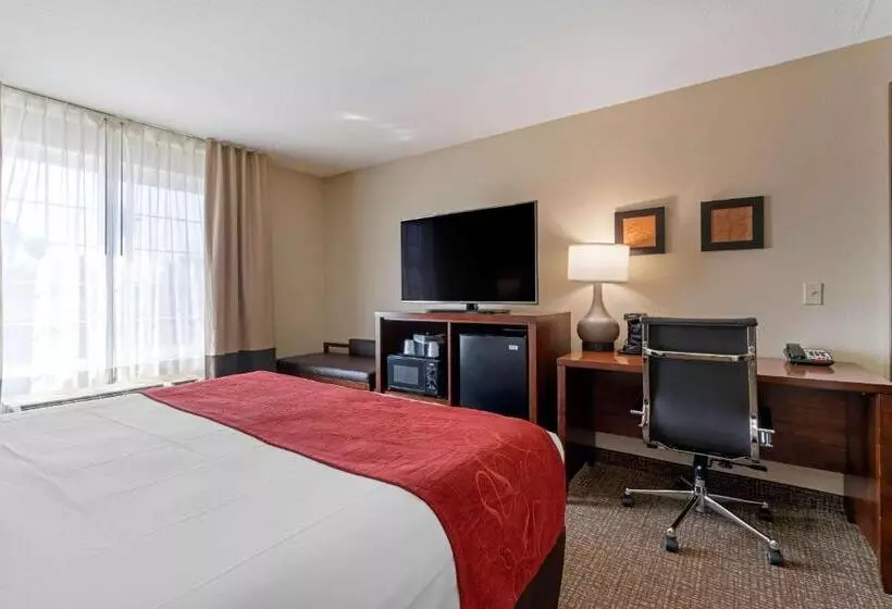 فندق Comfort Suites Downtown Sacramento