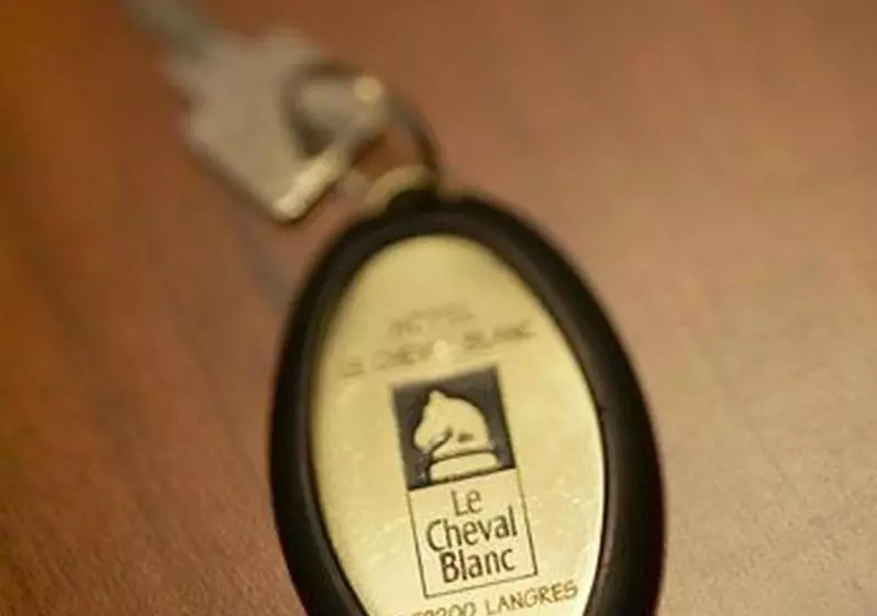 ホテル Logis Hôtel Le Cheval Blanc