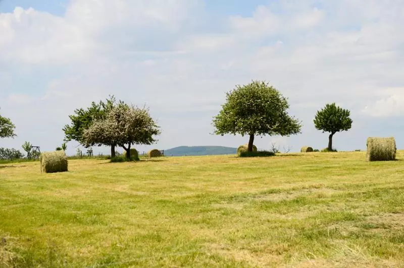 Отель Logis La Lentillere  Restaurant Cote Parc