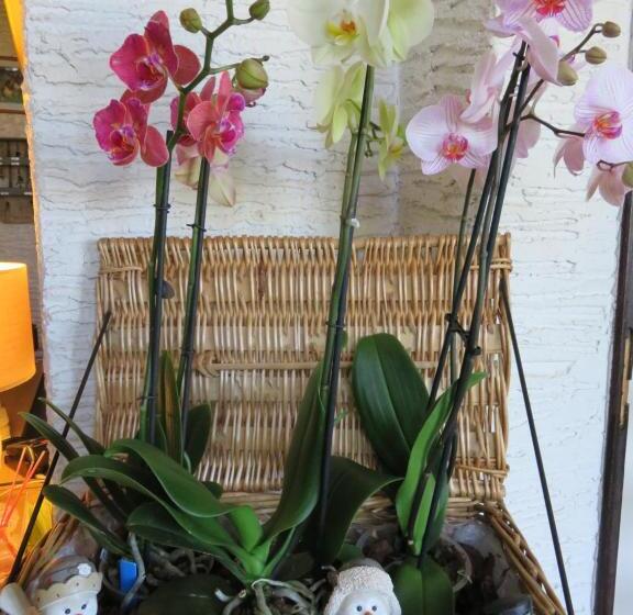 בית מלון כפרי Restaurant Le Traineau