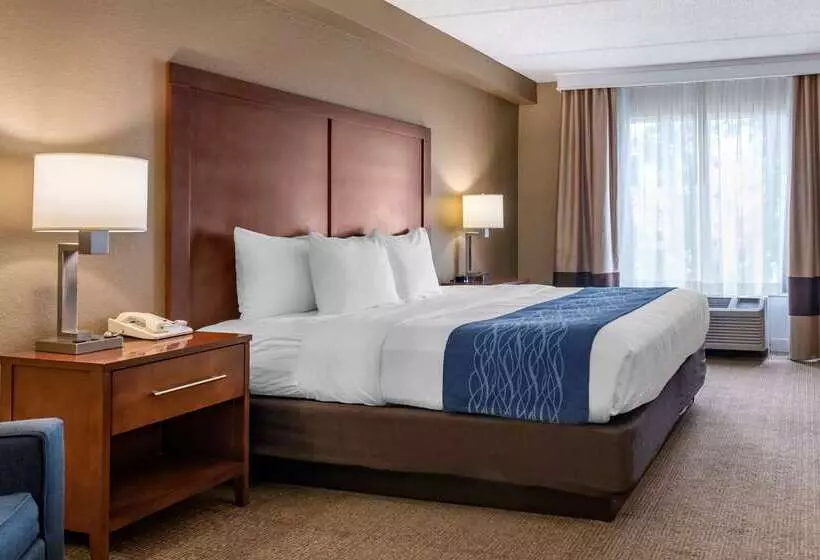 בית מלון כפרי Comfort Inn & Suites Orlando North