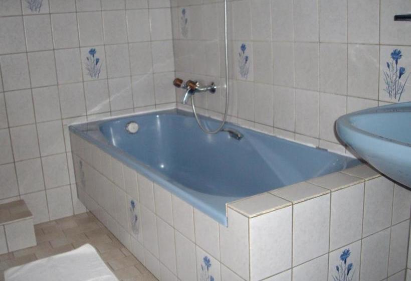 هتل Hôtel Des Vosges