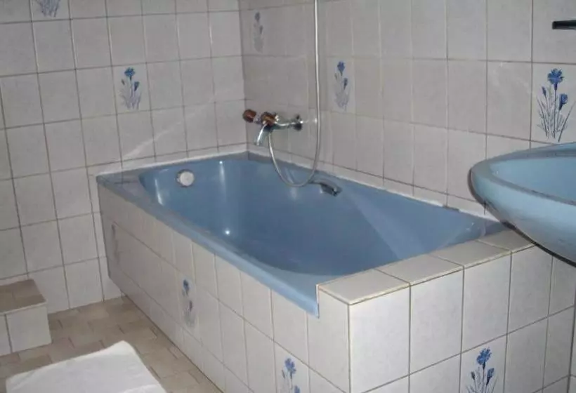 ホテル Hôtel Des Vosges