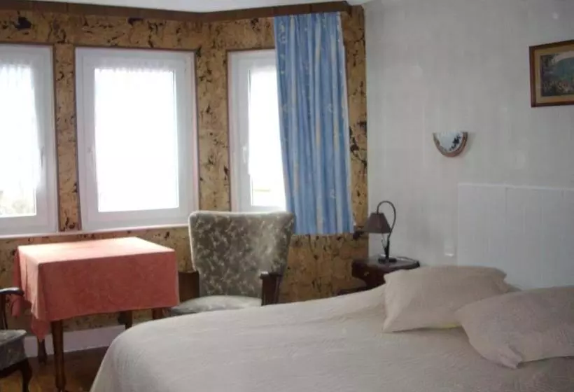 ホテル Hôtel Des Vosges