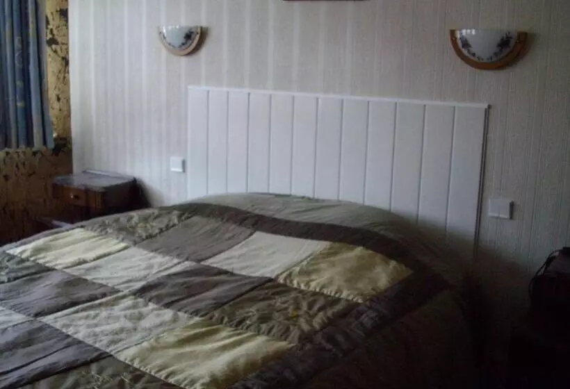 ホテル Hôtel Des Vosges