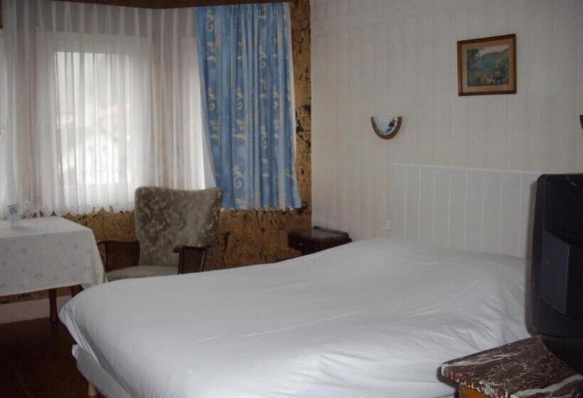 هتل Hôtel Des Vosges