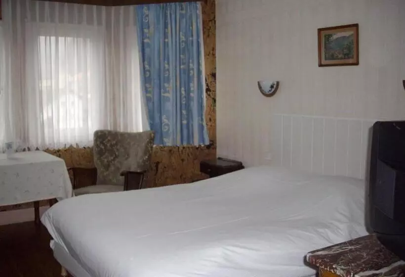 ホテル Hôtel Des Vosges