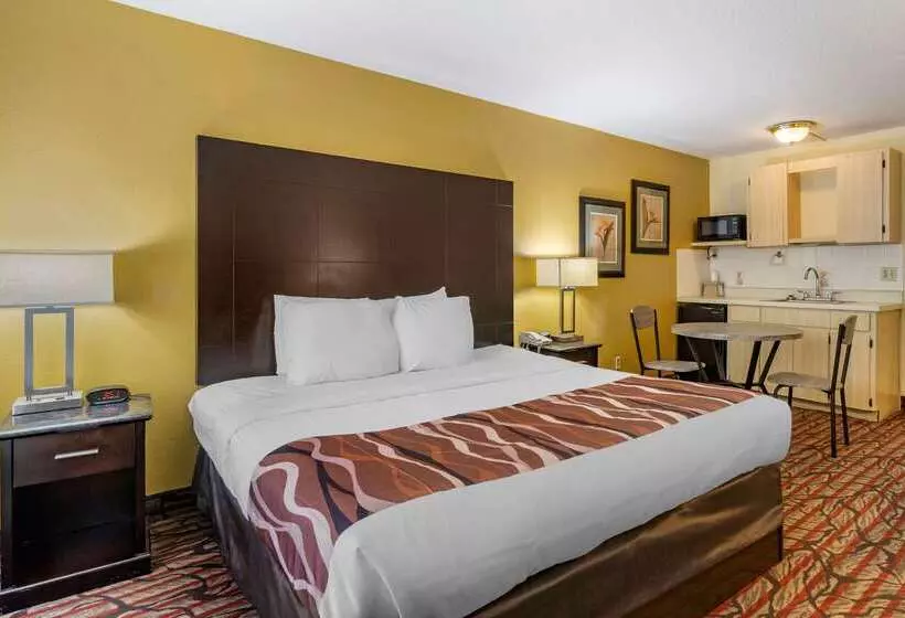 בית מלון כפרי Rodeway Inn Central Clearwater Beach