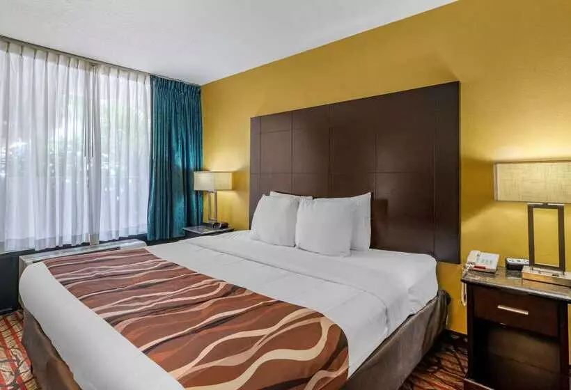 בית מלון כפרי Rodeway Inn Central Clearwater Beach