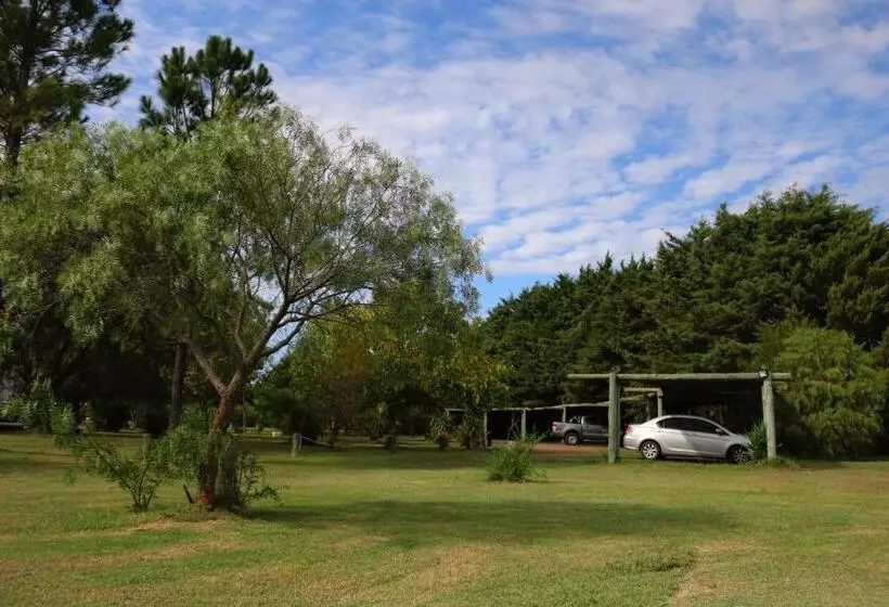 هتل Solanas Termas De Dayman