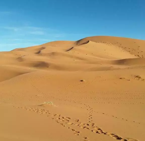 Hotelli Auberge Restaurant Les Coquelicots