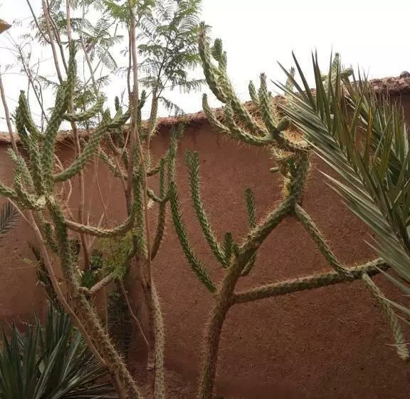 Hotelli Auberge Restaurant Les Coquelicots