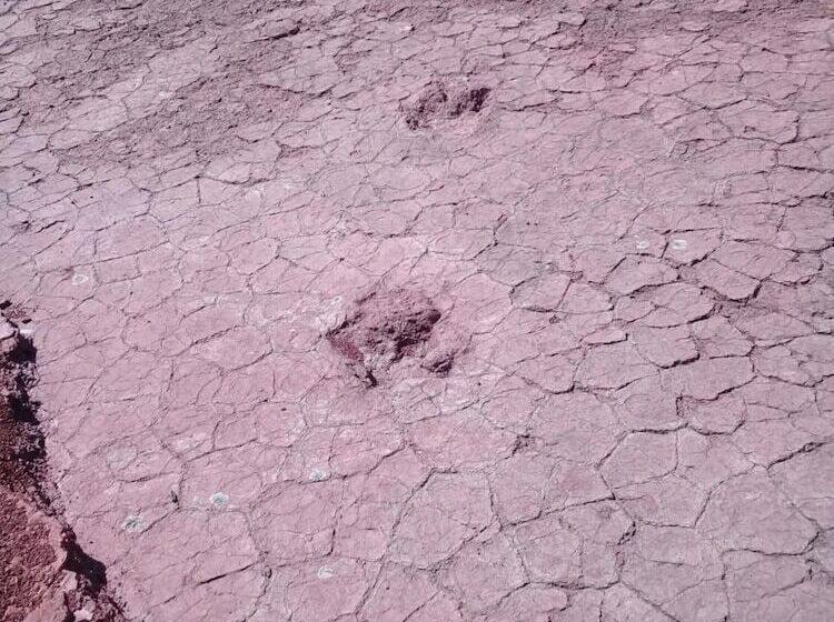 Szálloda Auberge Restaurant Les Coquelicots