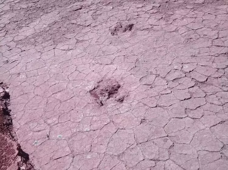 Hotelli Auberge Restaurant Les Coquelicots