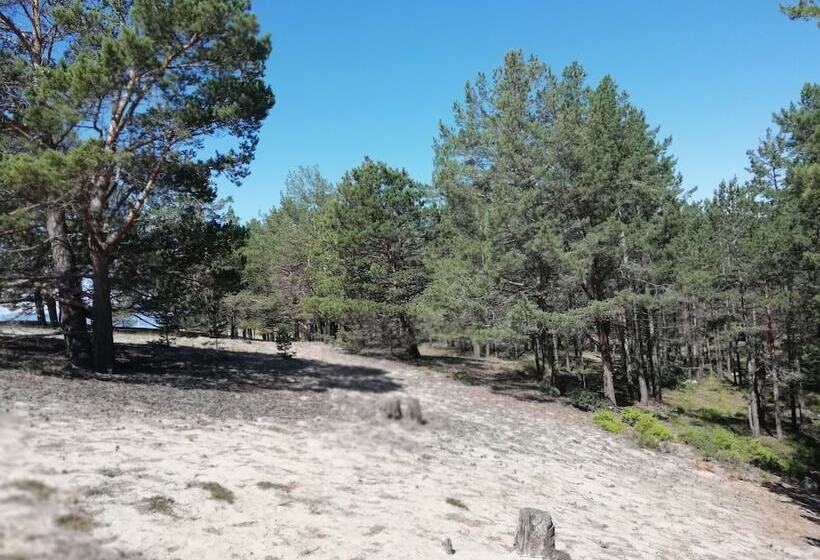 酒店 Camping On Olkhon