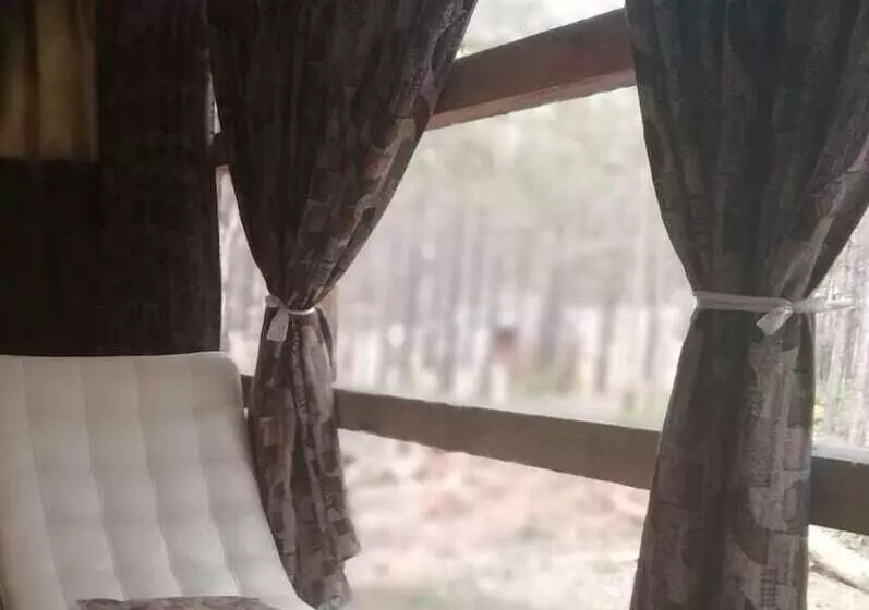 ホテル Camping On Olkhon