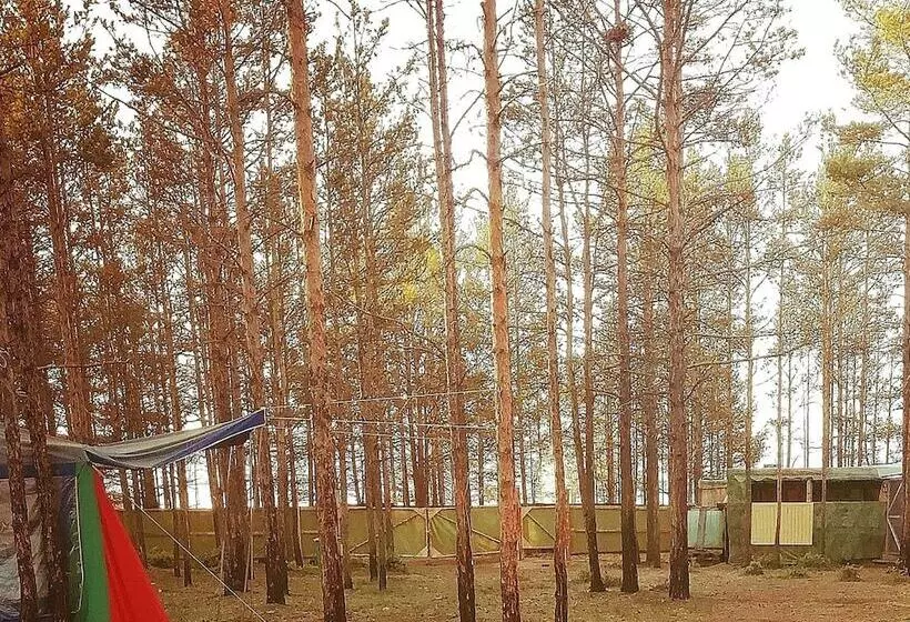 ホテル Camping On Olkhon