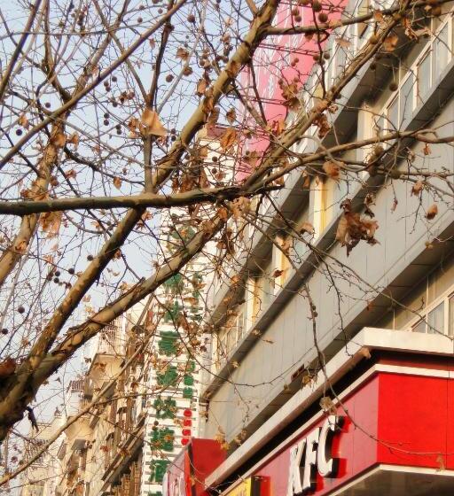 酒店 Greentree Inn Fuyang Shopping Mall