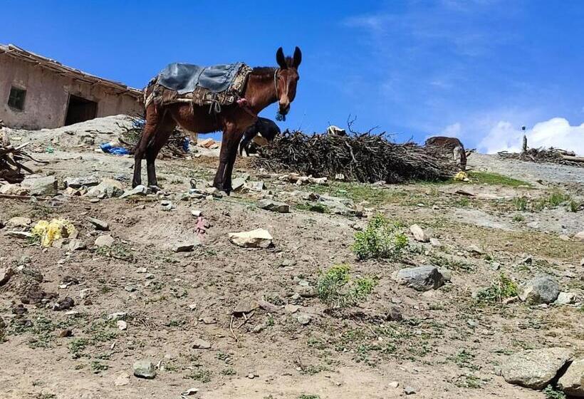 Пансион Auberge Restaurant Afoud