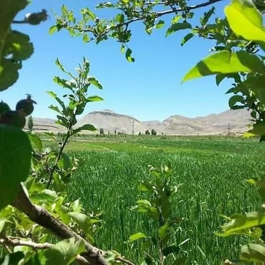 Пансион Auberge Restaurant Afoud