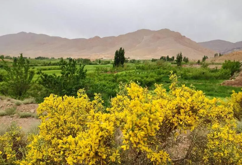 Majatalo Auberge Restaurant Afoud