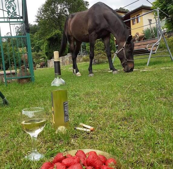 Пансион Guest House Alfa Daniel