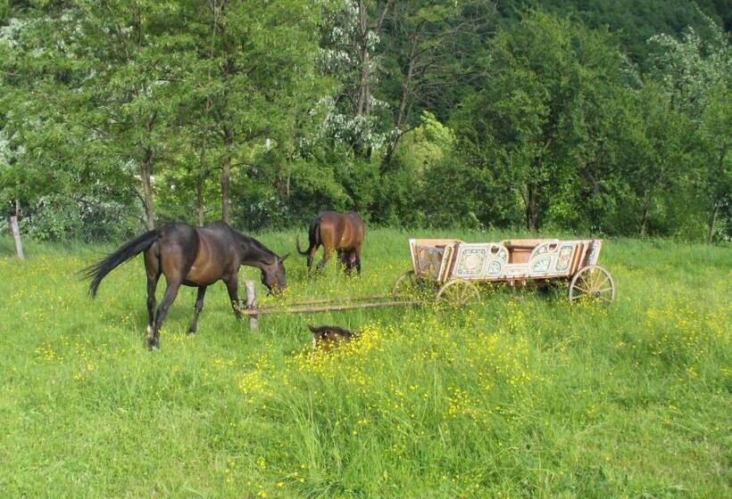 Пансион Guest House Alfa Daniel