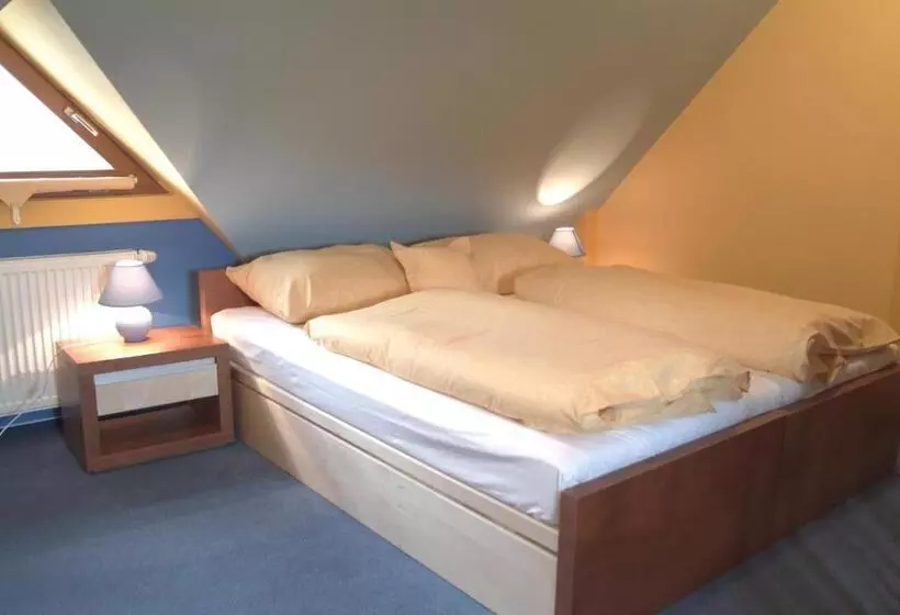 Majatalo Penzion U Pejtrika