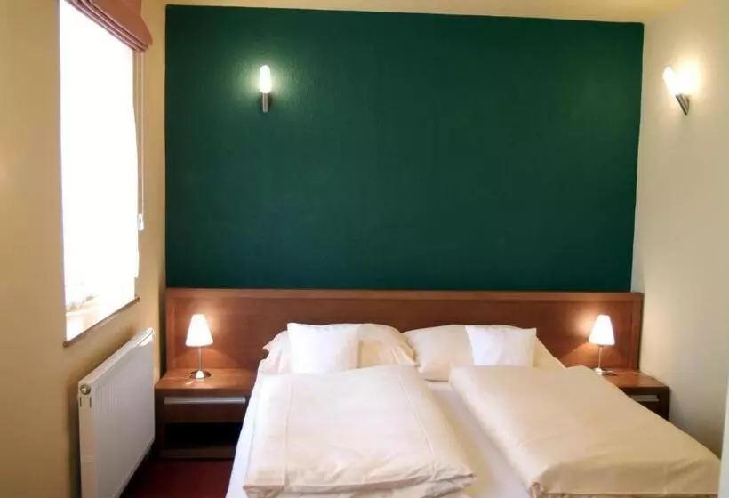 Majatalo Penzion U Pejtrika