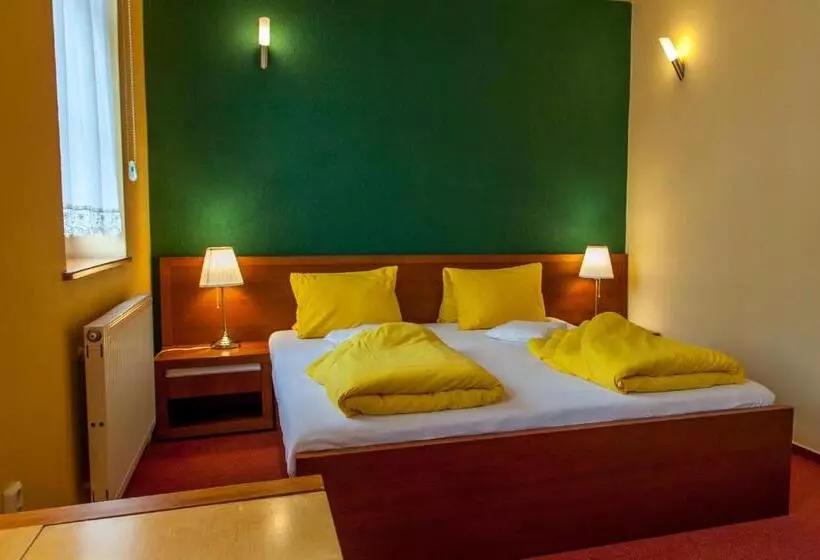 Majatalo Penzion U Pejtrika