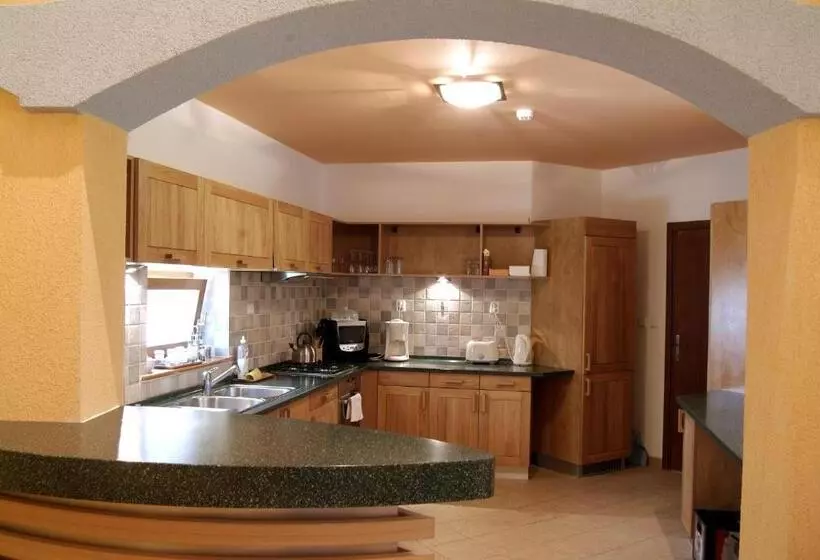 Majatalo Penzion U Pejtrika