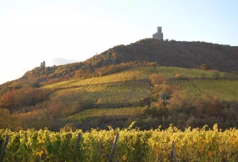 호텔 Auberge Ramstein