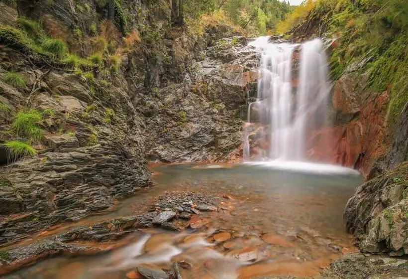 Hotel Hôtel Aurélia