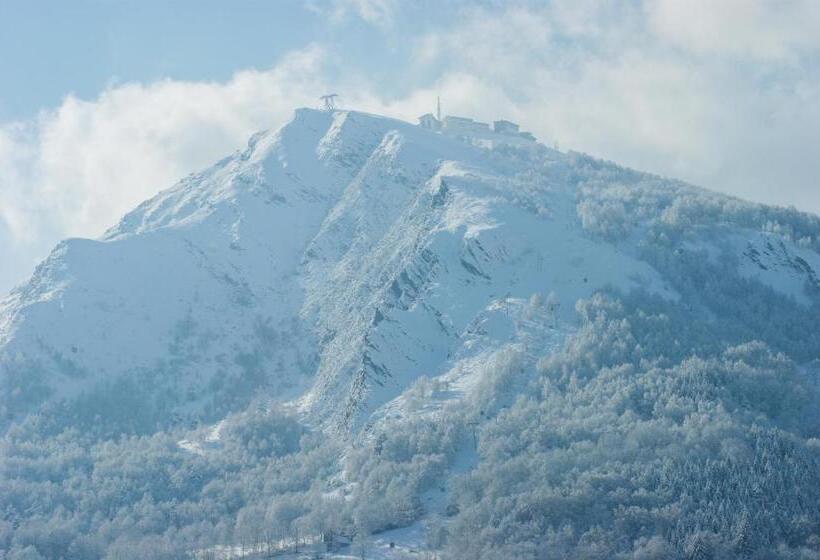 酒店 Hôtel Aurélia