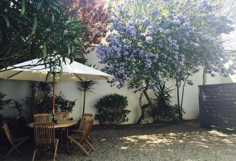 ホテル Hôtel Des Druides