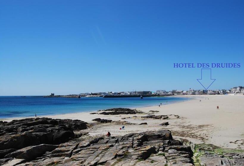 ホテル Hôtel Des Druides