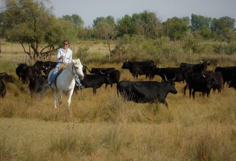 酒店 Logis Le Nid Du Pont De Gau