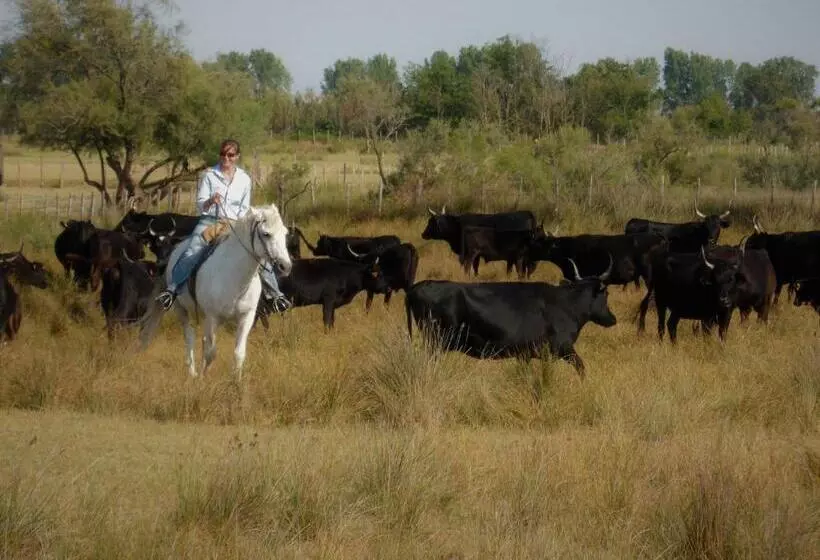 فندق Logis Le Nid Du Pont De Gau