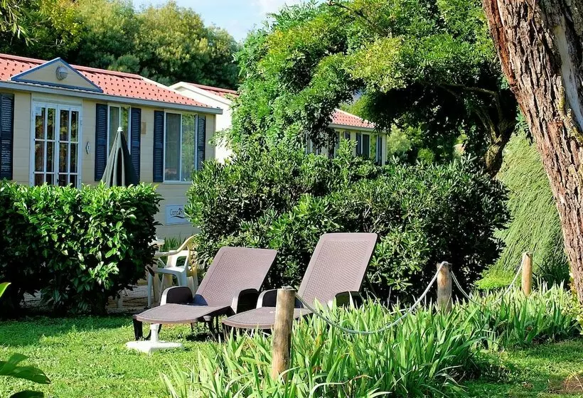 ホテル International Glamping Lago Di Bracciano